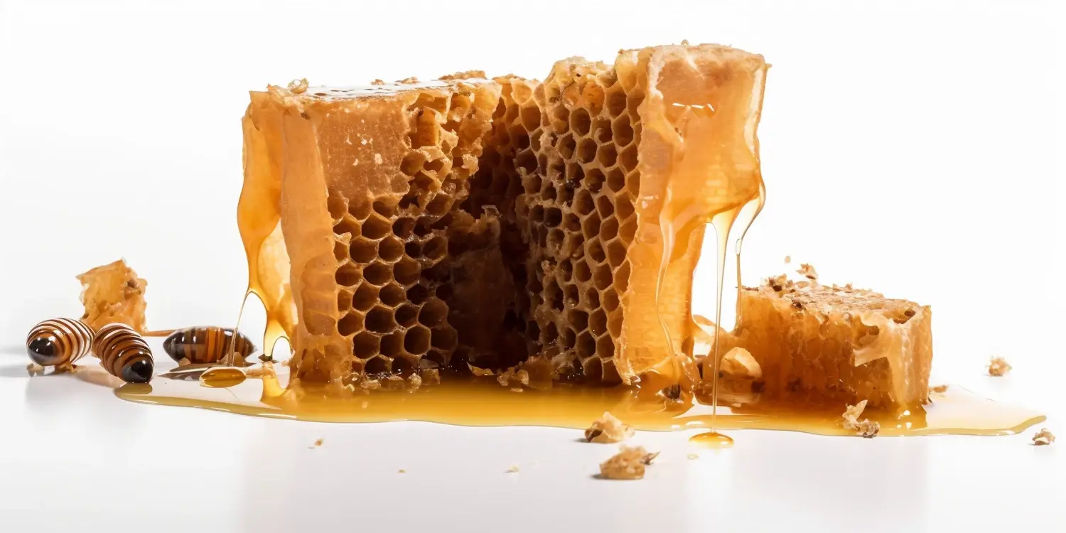 Jak rozpoznać miód spadziowy iglasty?