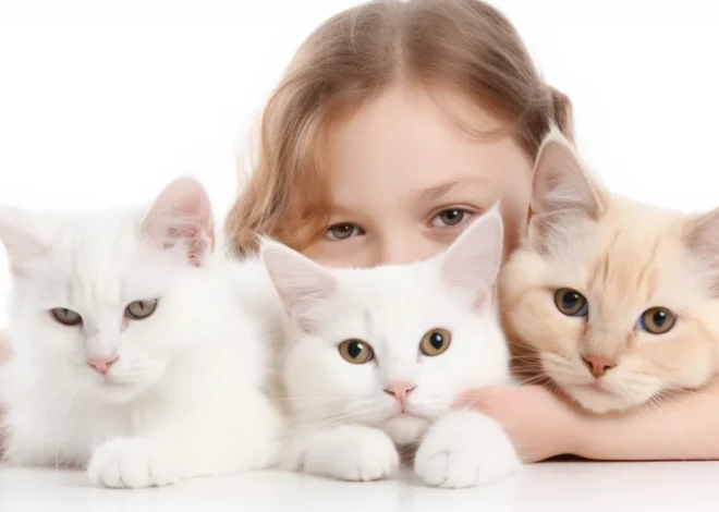 Utylizacja zwierząt Poznań